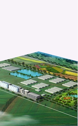 吉尔吉斯斯坦亚洲之星 农业产业合作区